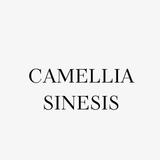 Camellia Sinensis Leaf Extract
