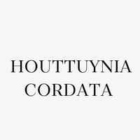 Houttuynia Cordata (Heartleaf)