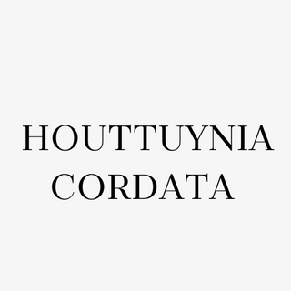 Houttuynia Cordata (Heartleaf)