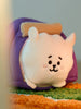 BT21 - Muñeca con carpa para fogatas de RJ