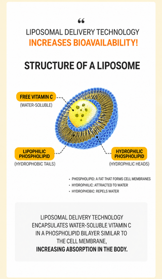 Nutricore - Hypercelle Liposome Vitamin C 30pcs