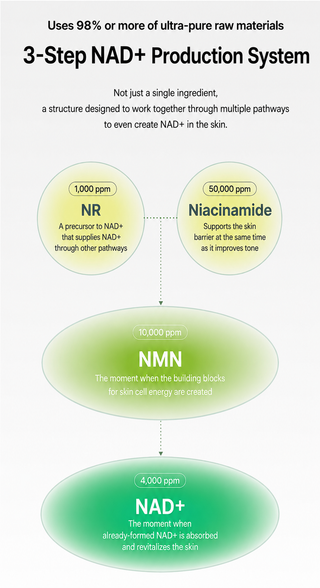 Skinstandard - Matcha Active NAD Cream 55g