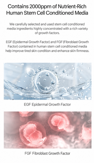 Franz - EGF Intensive Volume Ampoule 50ml