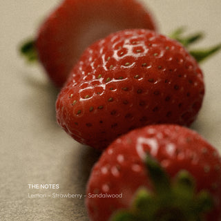 Holibanum - Strawberry Haze 50ml