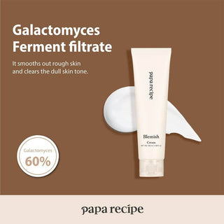 Papa Recipe - Blemish Cream 100ml - Koreabe