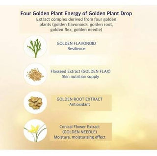 IOPE - Golden Glow Face Oil 40ml