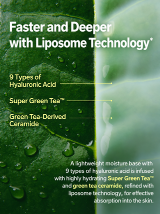 Innisfree - Green Tea Ceramide 4pcs Set