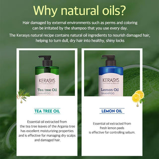 Kerasys - Tea Tree Oil Conditioner 1000ml - Koreabe