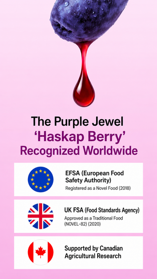 NutrioneLife - NFC 100% Pure Haskap Berry Juice Concentrate 14ea