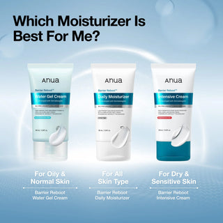 Anua - Barrier Reboot Intensive Cream 100ml