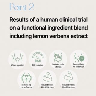 Foodology - Mindful Lemon Verbena 60ea