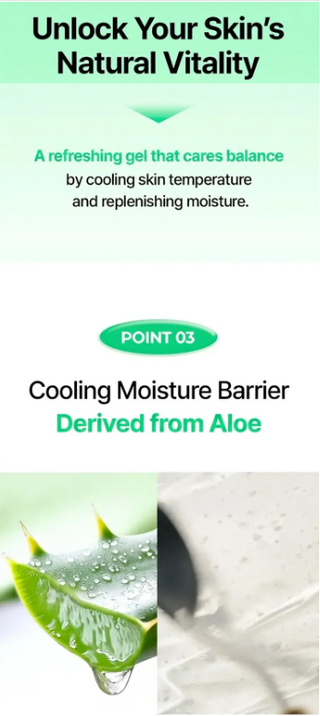 Bringgreen - Aloe 97% Soothing Gel 300ml