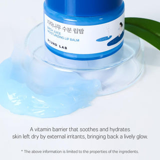 Round Lab - Birch Juice Moisturizing Balm 20g