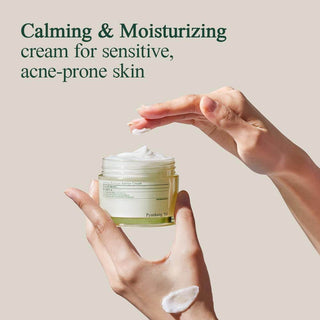 Pyunkang Yul - Calming Moisture Barrier Cream 100ml - Koreabe