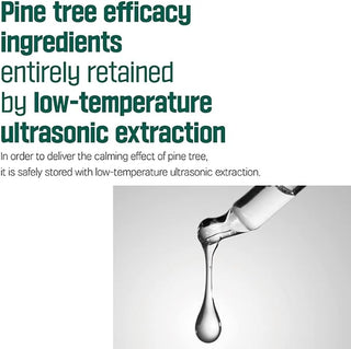 Round Lab - Pine Tree Soothing Cica Body Wash 400ml