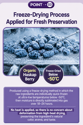 Naturalplus - Organic Haskap Berry 100 14ea
