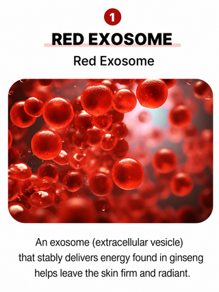 Biome Activate - Prime Ginseng Redsome Ampoule 33ml