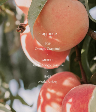 Luafee - White Apricot Solid Perfume 30ml