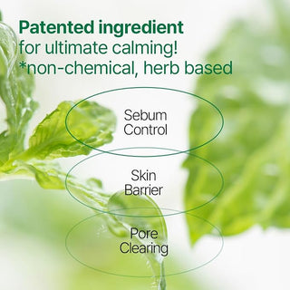 Pyunkang Yul - Ultimate Calming Solution Toner Pad 70ea
