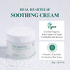 Neogen - Real Heartleaf Soothing Cream 80g