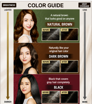 Ryo -  Secret Easy Foam Gray Hair Dye - 3 Colors