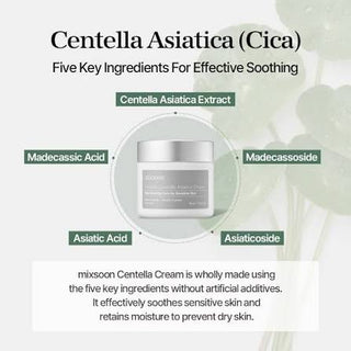 Mixsoon - Premium Centella Asiatica Cream 50ml