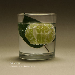Holibanum - Limeade 50ml