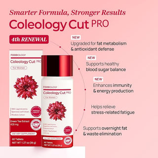 Foodology - Coleology Cut Pro 40pcs