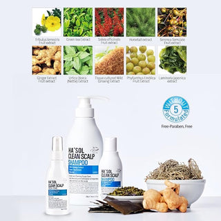 Hasol - Clean Scalp Shampoo 500ml