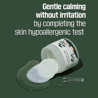 Round Lab- Pine Calming Cica Pad 50ea - Koreabe