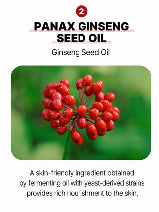 Biome Activate - Prime Ginseng Redsome Ampoule 33ml