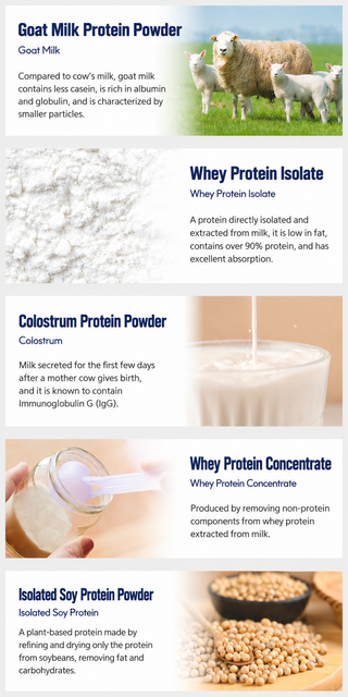 Daehyun - MBP Goal Milk Colostral Protein 60x5g