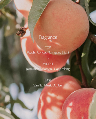 Luafee - White Apricot Hand Cream 40ml