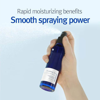 Pyunkang Yul - Ato Intensive Soothing Mist 145ml - Koreabe