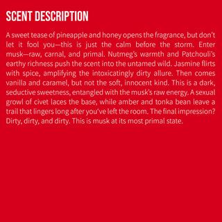 Borntostandout - Filthy Musk Hand&Body Wash 350ml + Cream 350ml