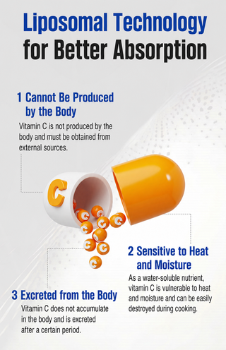 Vitamin Village - Premium Mega C Liposome Vitamin C 30ea