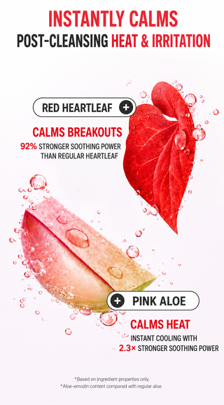 Sungboon Editor - Red Heartleaf BHA Lino Gel Cleanser 120ml