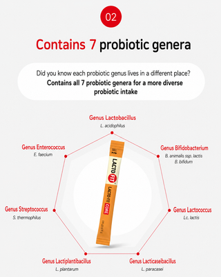 Lactofit - Probiotics Core 60ea
