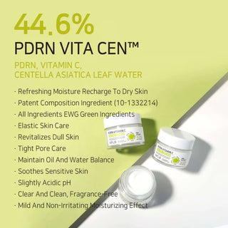 APLB - PDRN Vitamin C Facial Cream 55ml