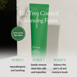 Papa Recipe - Tea Tree Control Cleansing Foam 120ml - Koreabe