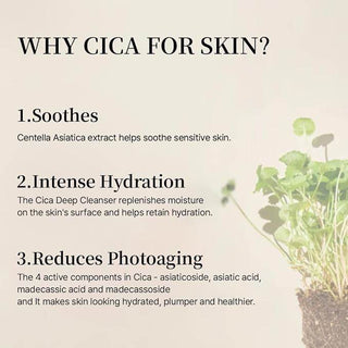 Mixsoon - Soody Centella Asiatica Essence 50ml - Koreabe