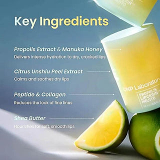 CNP - Propolis Lipcerin - 3 Flavors - Koreabe