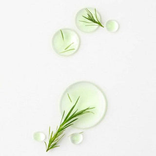 Paul Medison - Biome Tea Tree Spot Ampoule 30ml - Koreabe