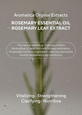 Aromatica - Rosemary 3 in 1 Treatment 160ml