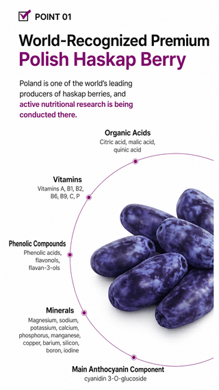 NutrioneLife - NFC 100% Pure Haskap Berry Juice Concentrate 14ea