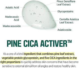Round Lab - Pine Tree Soothing Cica Body Wash 400ml