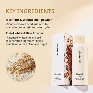 Papa Recipe - Blemish Enzyme Powder Cleanser 50g - Koreabe