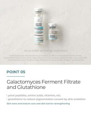 Daylisse - Milk Mide Ampoule 21ml - Koreabe