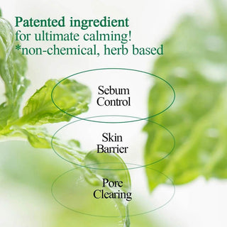 Pyunkang Yul - Ultimate Calming Solution Ampoule 30ml - Koreabe