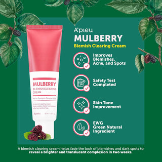 Apieu - Mulberry Blemish Clearing Cream 50ml